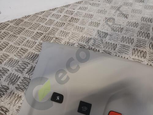 MK3 K9 PEUGEOT PARTNER Courtesy Light