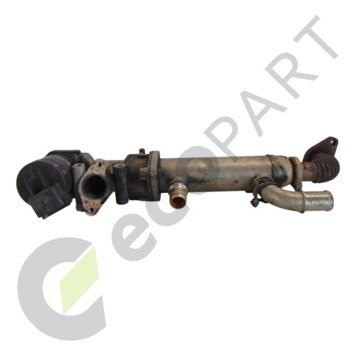 MK2 PEUGEOT EXPERT EGR Valve/Cooler